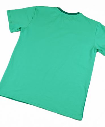 Camiseta color block emerald, de adulto, hecha en punto de algodón orgánico y de manga corta. El delantero es de color esmeralda y las mangas y el trasero color mint.